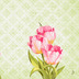 Duni Klassikservietten Love Tulips 40 x 40 cm 50 Stck