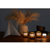  Duni LED Mini Lampe 8er Set multicolour inkl. warmwei mit 8er Set Bambus Halter