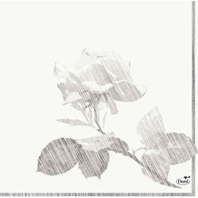 Duni Zelltuch-Servietten Grey Rose 33x33 cm 3lagig, 1/ 4 Falz 50 Stück