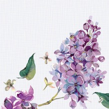 Duni Dunisoft® Servietten Sweet Butterfly Lilac 40 x 40 cm 12 Stück