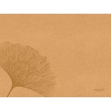 Duni Papier-Tischsets Organic 30 x 40 cm 250 Stück