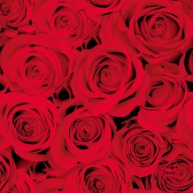 Duni Tissue Servietten Red Roses 24 x 24 cm 20 Stück