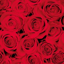 Duni Tissue Servietten Red Roses 33 x 33 cm 20 Stück