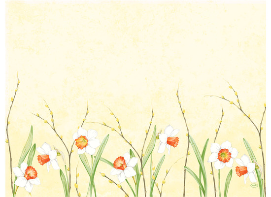 Duni Papier-Tischsets Daffodil Joy 30 x 40 cm 250 Stück