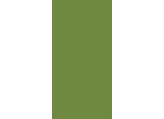 Duni Zelltuchservietten leaf green 33 x 33 cm 1/8 Buchfalz 250 Stück
